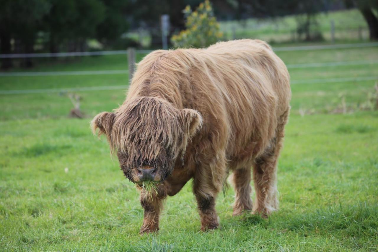 Little Sherwood Drouin Petting Zoo & Farm stay *