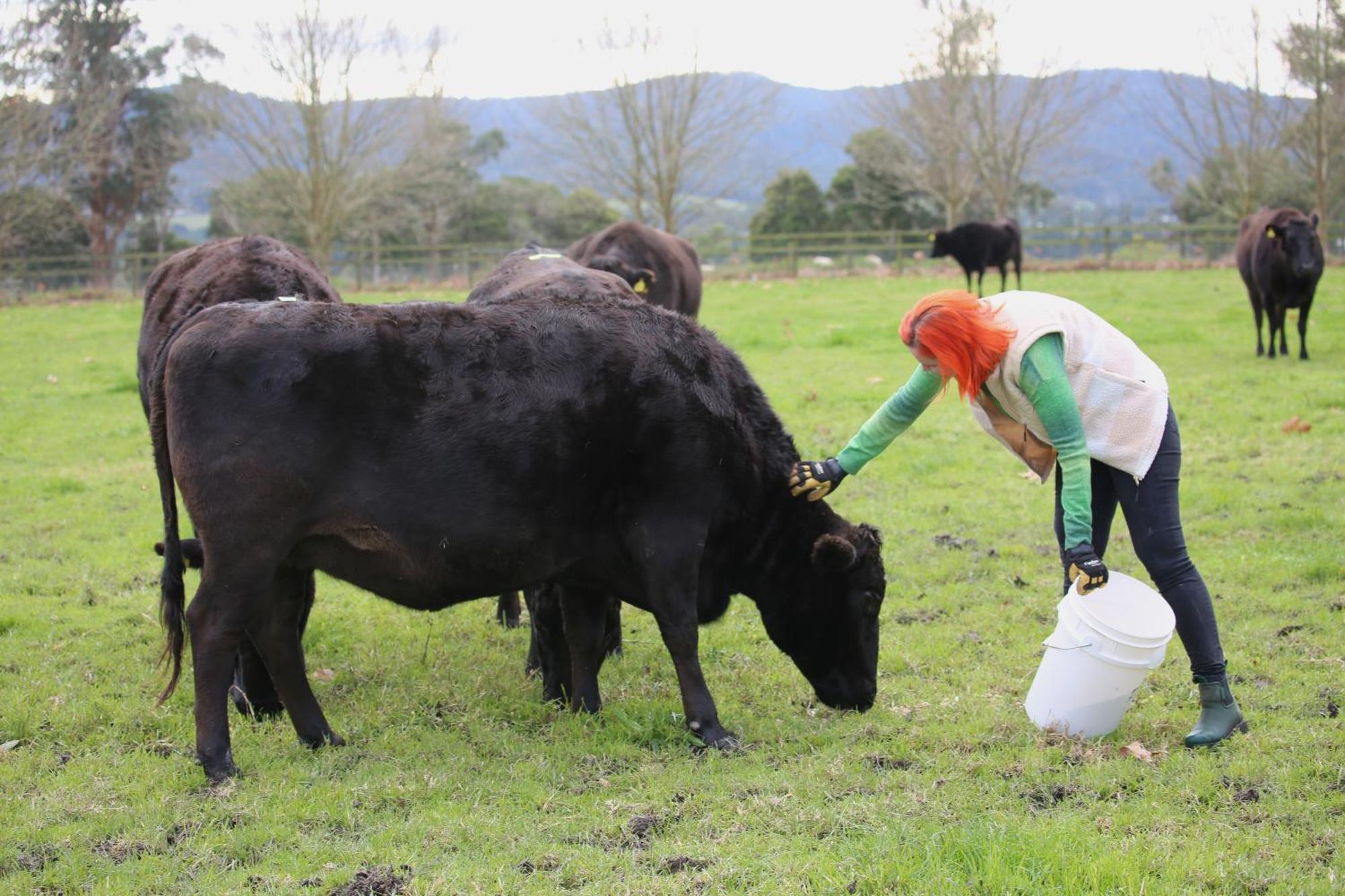 Farm stay Little Sherwood Drouin Petting Zoo & *